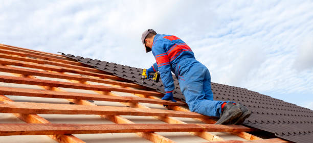 Best Roof Maintenance and Cleaning  in Oak Park, CA